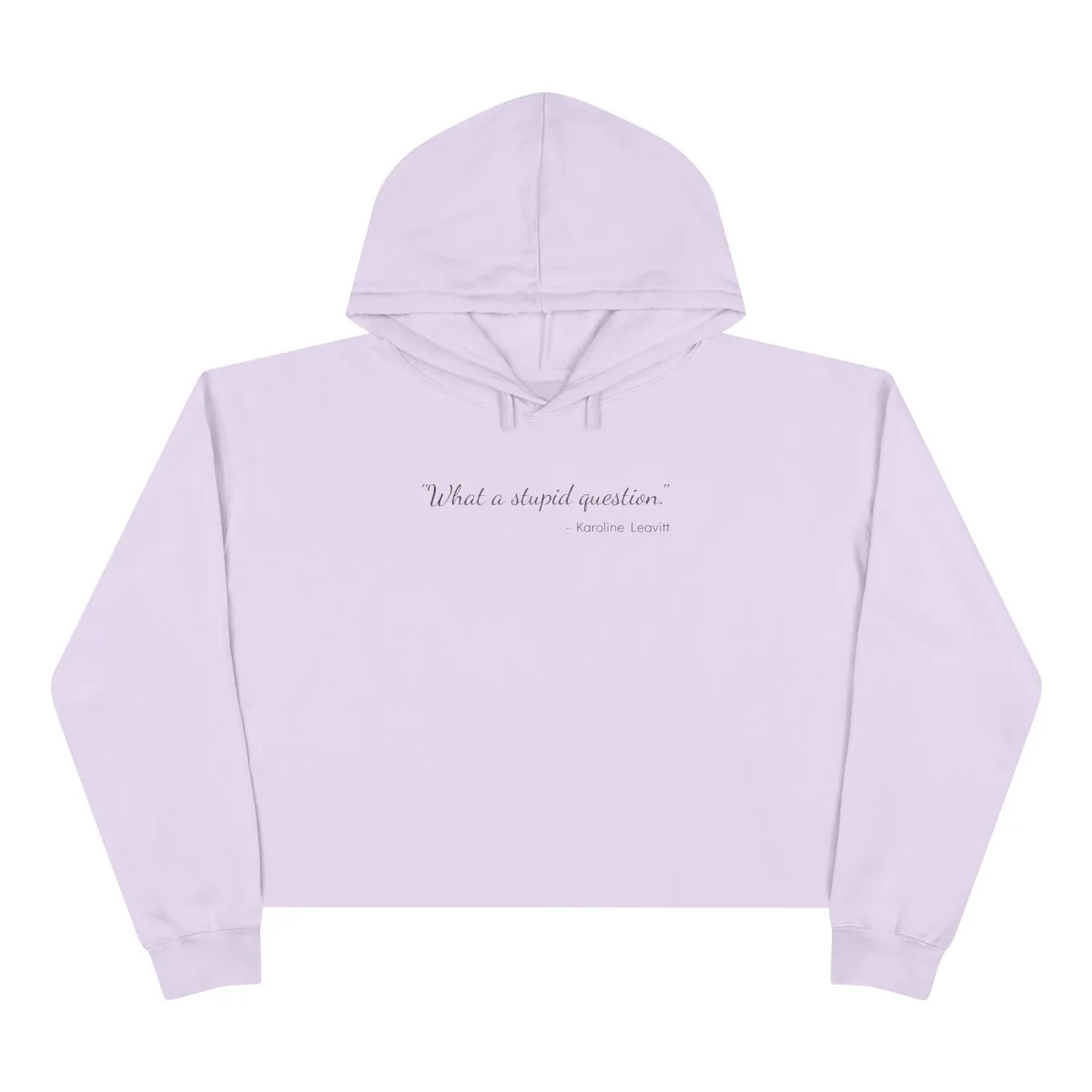 The "Stupid Question" Hoodie: Women's Version, Cropped -  thumbnail 7