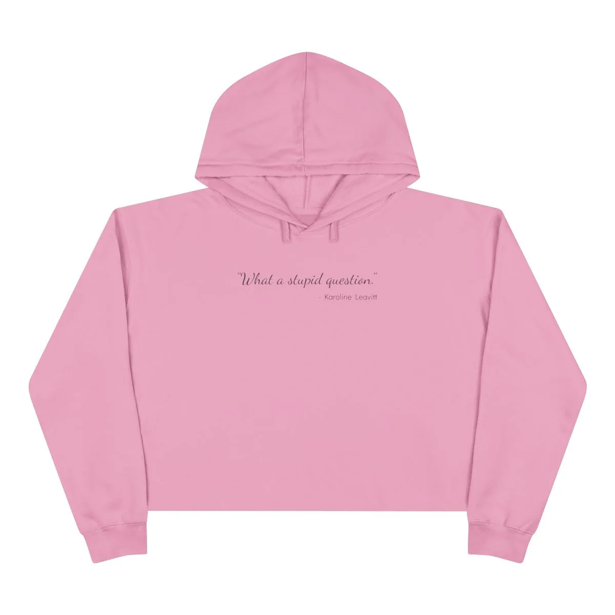 The "Stupid Question" Hoodie: Women's Version, Cropped -  thumbnail 9