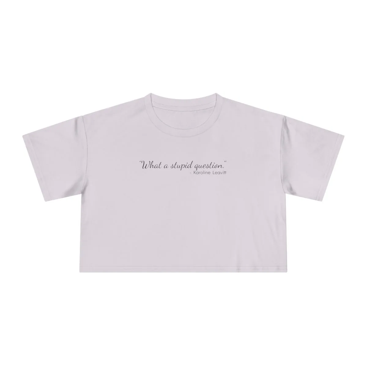 The "Stupid Question" Tee: Women's Version, Cropped -  thumbnail 9