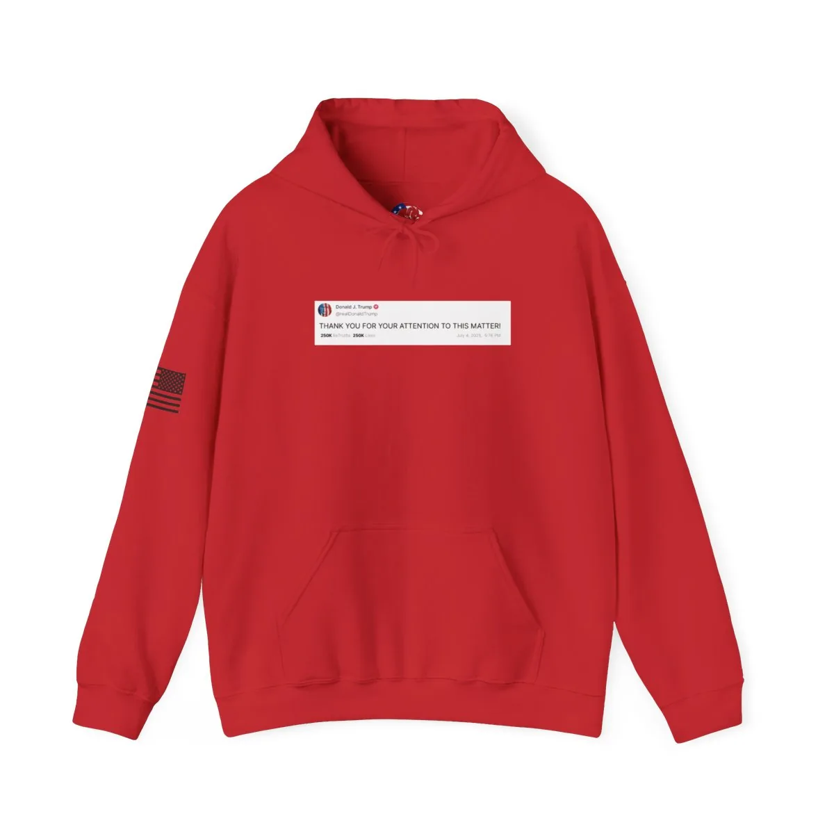 Truth Social Hoodie -  thumbnail 5